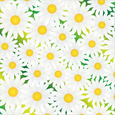 Considerable quantity of white chamomiles on a green backgroundのイラスト素材