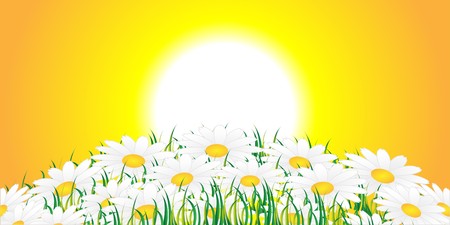 White flowers against a rising sunのイラスト素材