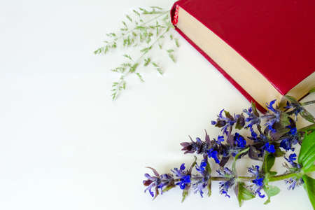 Book of red color in flowers on a white backgroundの写真素材