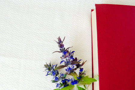 Book of red color in flowers on a white backgroundの写真素材