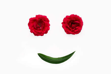 Concept of natural beauty. Silhouette of a smiling person from rose flowers and a green leaf. Minimal style.の写真素材