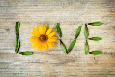 Inscription love, laid out of a yellow daisy and leaves on a wooden background. The concept of love of nature, the environment. Romantic moodの写真素材