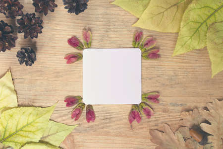 Autumn background - frame of multi-colored autumn leaves with a sheet of paper for text on a wooden backgroundの写真素材