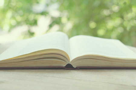 Blurred image of the open book in front of an open window with green trees. The concept of education...