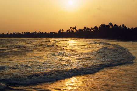 Long wave, golden sunset on the ocean shore in the tropics. Silhouette of palm trees on the horizonの写真素材