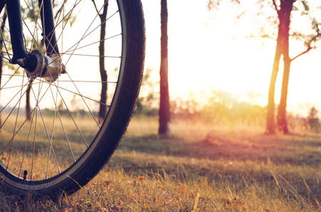 Wheel of a bicycle is lit by the setting sun against the background of the autumn forest. Autumn walk on a bicycle in the autumn forest.の写真素材