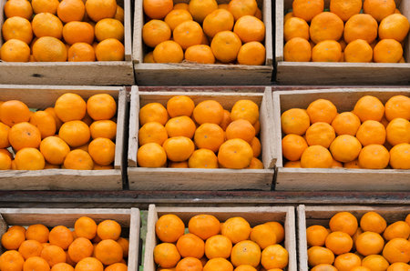 Ripe mandarins in wooden boxes stand in a row.の写真素材