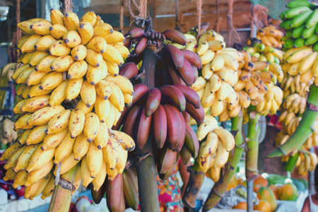 Fruit market in Sri Lanka - yellow and red bananas on branches. Natural simple organic food.の写真素材