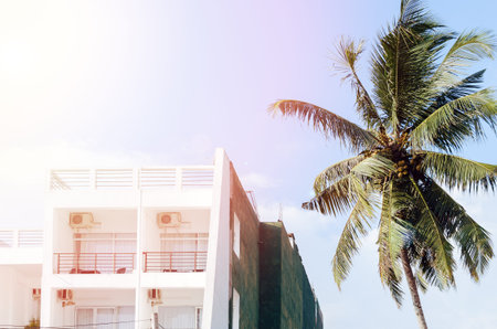 White hotel, lit by the sun next to palm tree against blue sky. Concept of vacation, travel,...