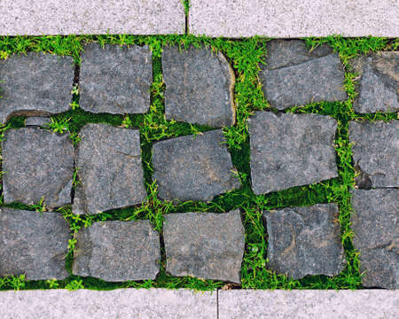 Close-up gray background of sett blocks different texture. Vintage, Rusty tiled, colorful, decorative stone pavement with green grass and moss.の写真素材