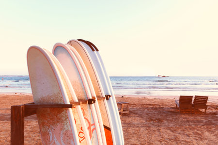 Vacation holidays background wallpaper - row of surfboards, two lounge chairs on beach. Concept of...