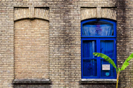 Old brick wall with two windows, one false, other with glass and blue color frame, green plant near building. Batumi, Georgia.の写真素材