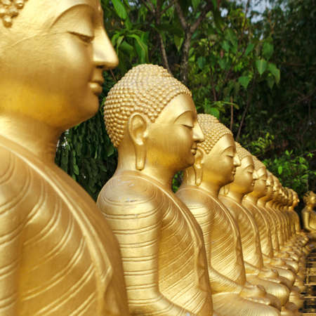 Buddha statues are covered in gold, arranged in a row, garden with green trees. Concept of rebirth, reincarnation, eternal life. Sri Lanka. Empty place for text, copy space.の写真素材
