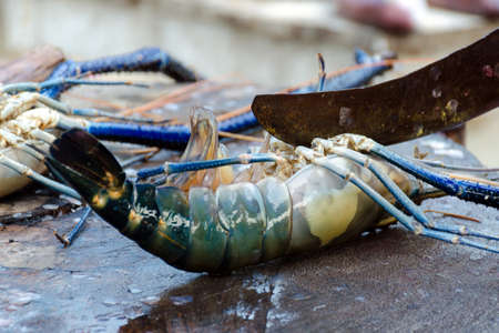 Seafood cuts - cooking spiny lobster. Carve lobster in a street fish market in Sri Lanka. Chef hand with a knife cuts fresh langoustine.の写真素材