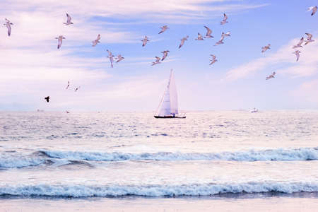 Sailboat in the sea, luxury summer adventure, active vacation in Sri Lanka.  Holiday landscape with skyline sailboat and seagull flock. Sailing tourism.  Summer vacation and holiday background.の写真素材