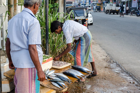 Weligama, Sri Lanka, 2018-01-09: Seller and buyer at the counter with fish by the road. Men in traditional Sri Lankan dress - sarong. Street photo, daily life.のeditorial素材