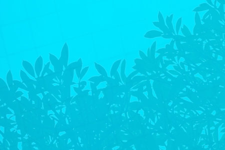 Shadow of leaves and branches is reflected in water pool. Reflection of a tree silhouette. Abstract...