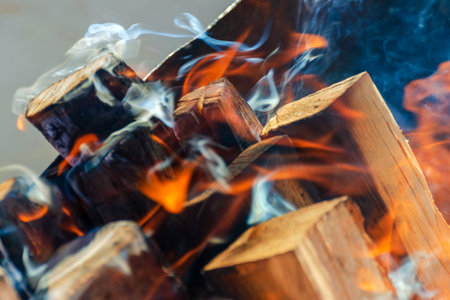 Burning firewood with smoke turning into coals