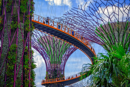 Bottom view of unrecognized people on the bridge between supertrees in the Singapore garden.