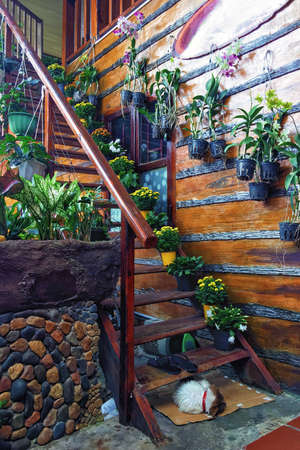Wooden staircase decorated with fresh flowers in pots. Decor elements in a country house. Vertical photoの写真素材