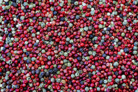 Mix of colorful peppercorn. Food texture, top view.の写真素材
