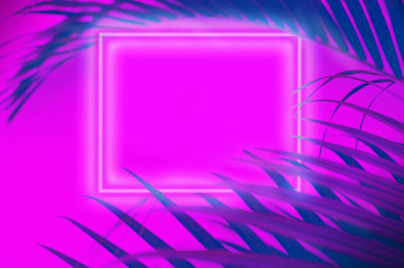 Creative background of neon palm leaves and glowing square. Jungle summer concept.  Defocused...