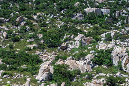 Part of a mountain where vegetation is mixed with protruding rockの写真素材