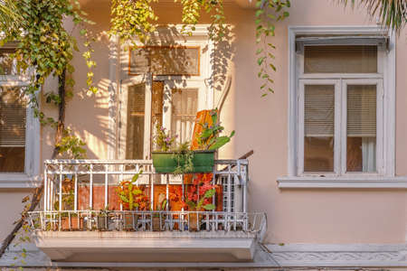 Exterior of old house wall in pastel colors with grapevine, balcony and flower pots,  lit by the sunlight. Batumi, Georgia.の写真素材