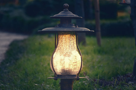 Lamp light in the night garden. Decorative lighting in parks