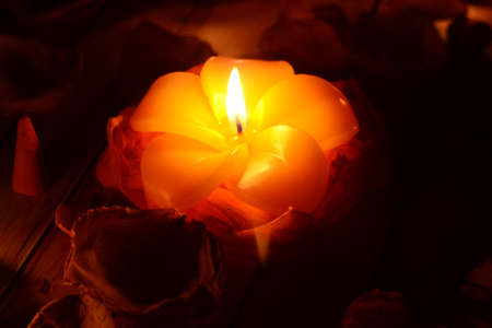 Burning candle in the form of a flower on a dark backgroundの写真素材