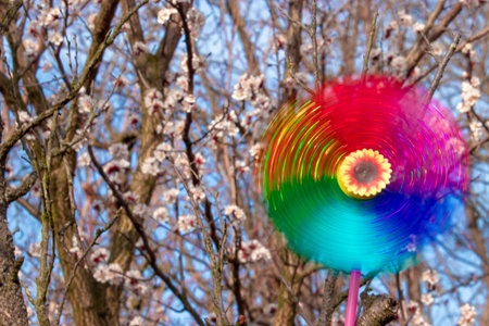 Windmill toy spins in the wind. Windmill with rainbow colors outside. A toy for children.の写真素材