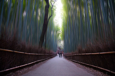 Fine Art Landscapeのeditorial素材