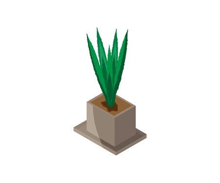 Isometric illustration of indoor plant in flower pot. Vector 3D icon. Houseplant, floral interior decoration design elementのイラスト素材