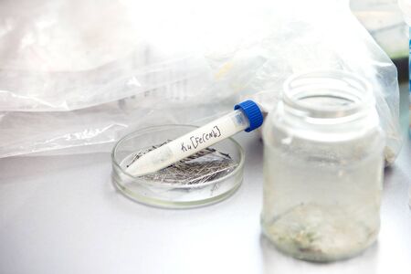 Tube with chemical formula written on itの写真素材