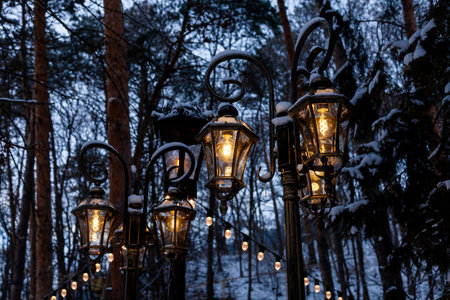 snow-covered street lamps in the park at night