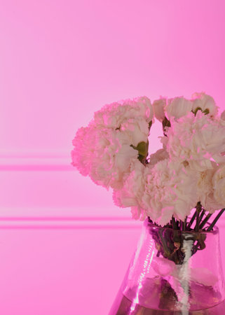 white wedding bouquet of roses in a vase in pink lighting with a place for a signatureの写真素材