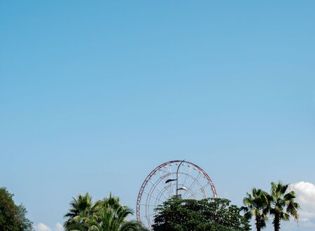 Ferris wheel among the trees. Blue sky and amusement park.の写真素材