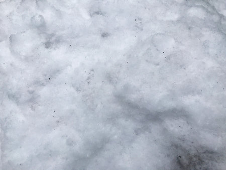Snow photo texture, natural concept.の写真素材