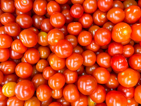Lots of red tomatoes. Ripe tomato. background with tomatoes.の写真素材