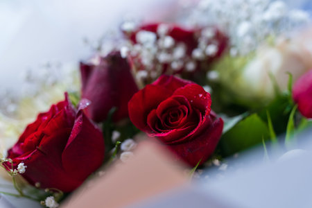 Delicate floral background with red roses. Summer concept.の写真素材