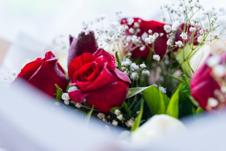 Bouquet of red roses. Festive photo with roses.