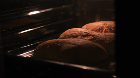 Fresh homemade loaves of bread in the oven, soft warm light highlighting the golden crust and the...