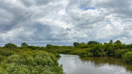 Summer landscape with river and green trees in cloudy weather.の写真素材