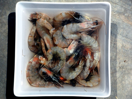 Raw shrimps soaking in water in a square containerの写真素材