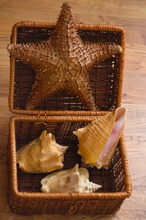 Basket with sea star and seashells decorationの写真素材