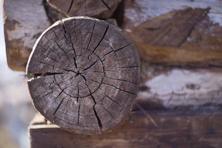 Butt logs in a wooden log housesの写真素材