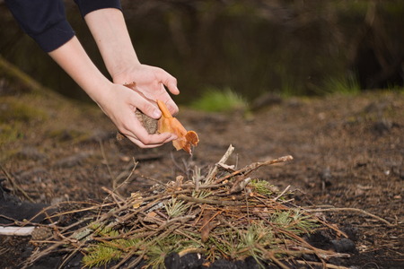 Hands of a child folding a fire from dry branches and leavesの写真素材