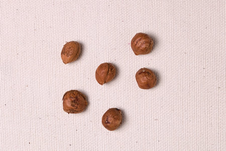 rich in protein and nutrients Hazel nuts sprinkled on a light cloth closeup with copy space
