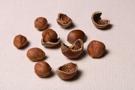 rich in protein and nutrients and chopped hazelnut shell on a light cloth closeup with copy space