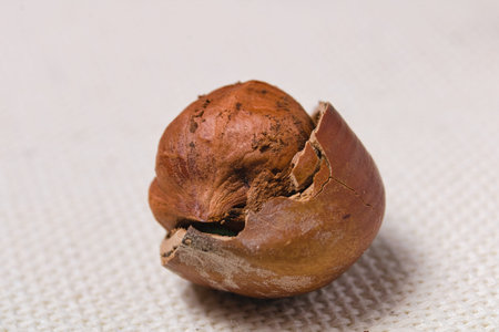 macro cracked Shelling nuts on rough light tablecloth